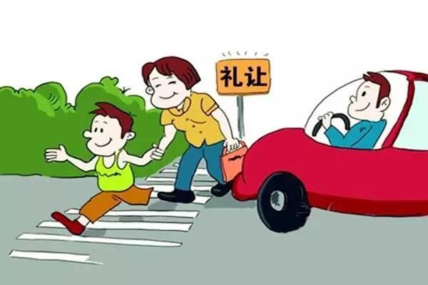 你知道吗礼让斑马线的正确方式吗