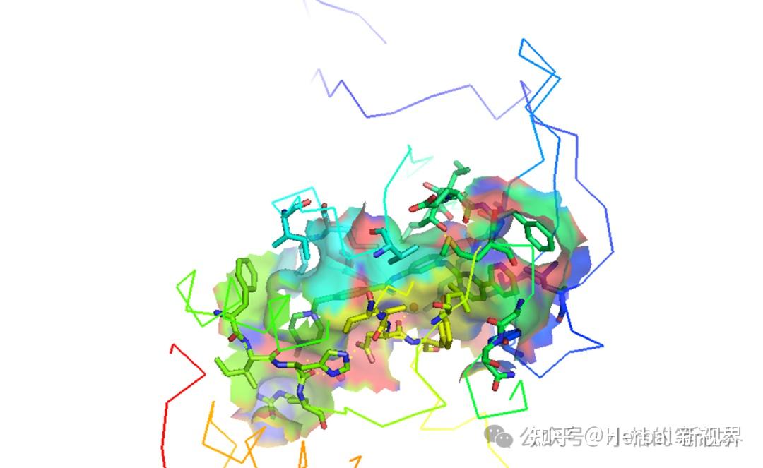 pymol显示小分子结合口袋 - 知乎