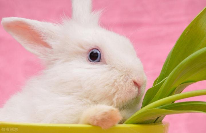 v2-4be2301f3a4469ec4ebd33752e8e669d_1440w.jpg?source=172ae18b