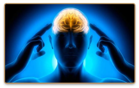 注意力不集中？注意力最深度剖析，注意力不是一种能力！《附实用提升注意力行动策略》 - 知乎