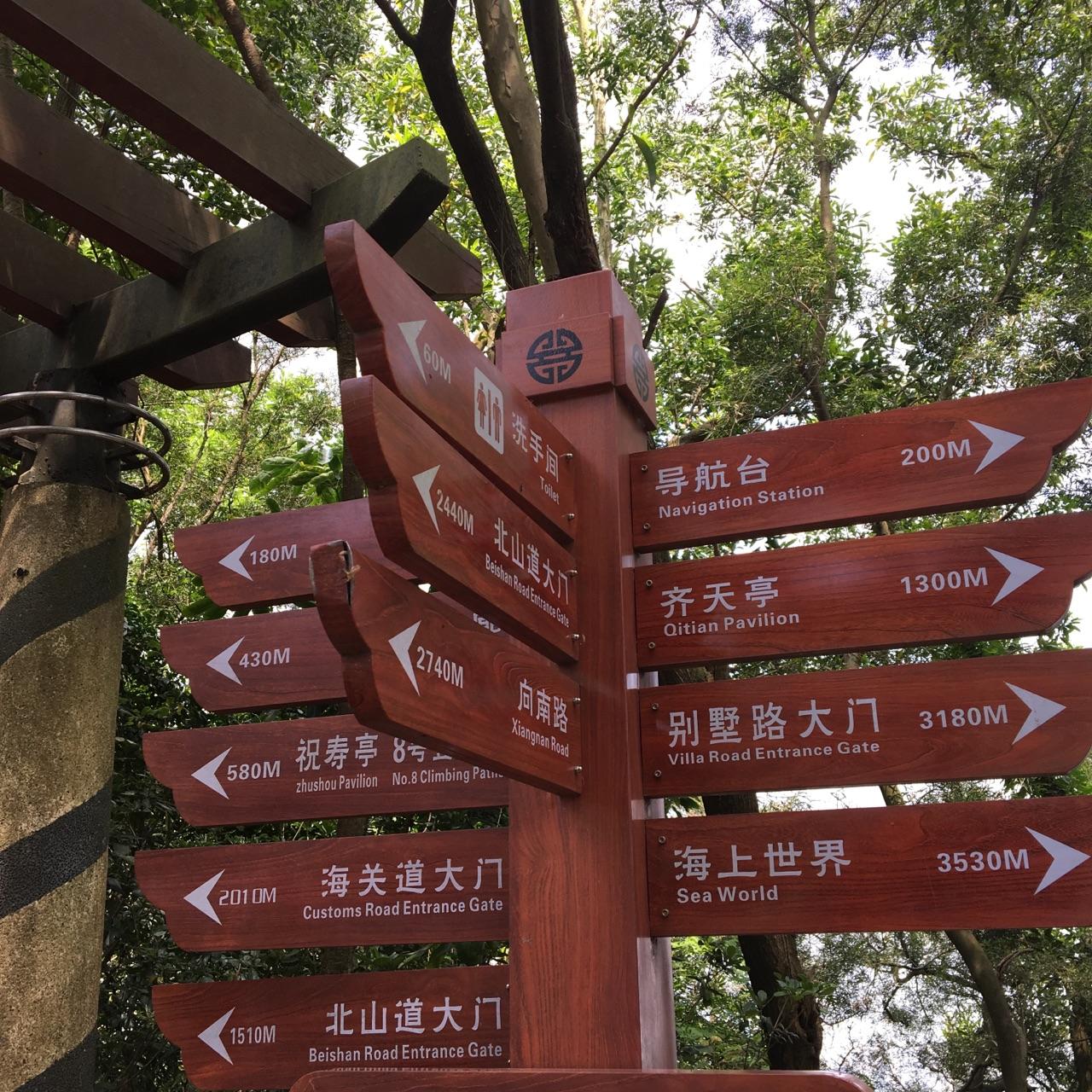 在北上广深打拼的单身年轻人的生活状态是怎样的