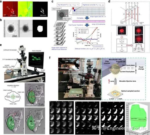 Microsystems & Nanoengineering综述：单细胞手术的先进工具和方法 - 知乎