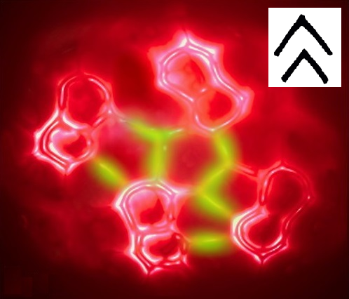 人间芳华 似花非花 华 知乎