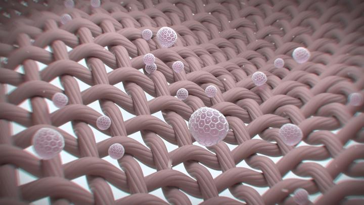 产甲烷菌的简介