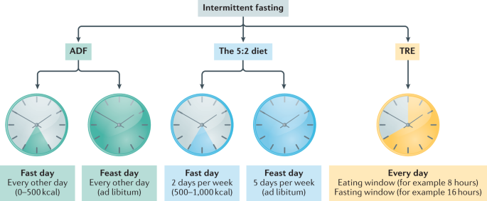 什么是 16+8 断食法？早进食和晚进食的减重效果一样吗？ - 知乎