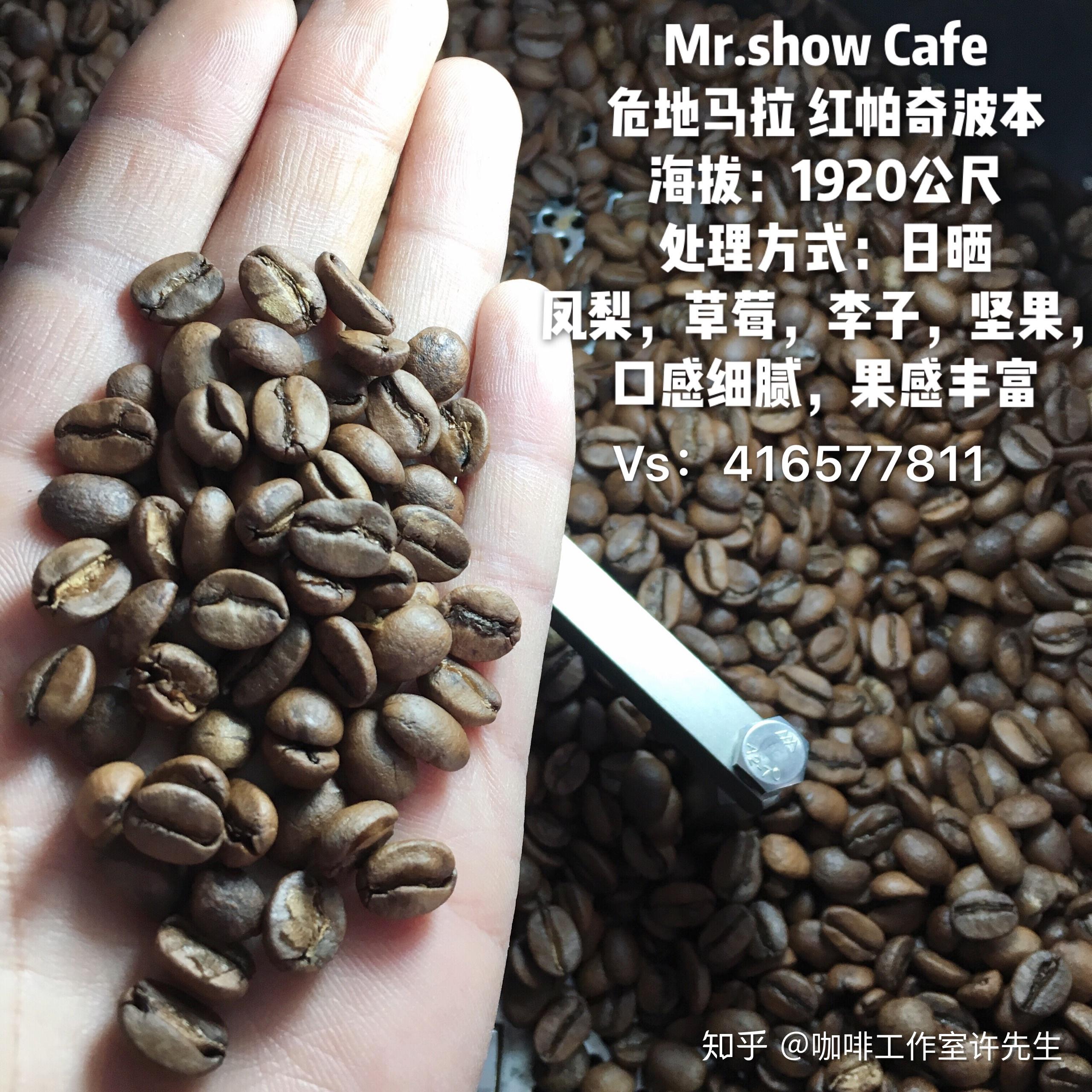 咖啡豆哪種好