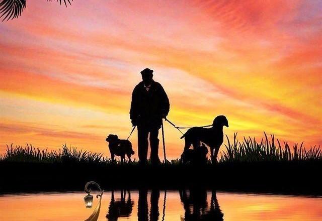 表示释怀和放下的说说,一句话点醒你的人生!