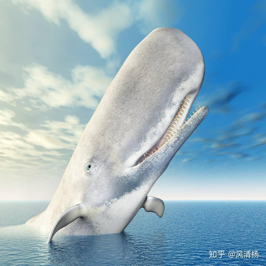 有哪些动物或者植物的分泌物是人类特别喜欢的尤其是女性