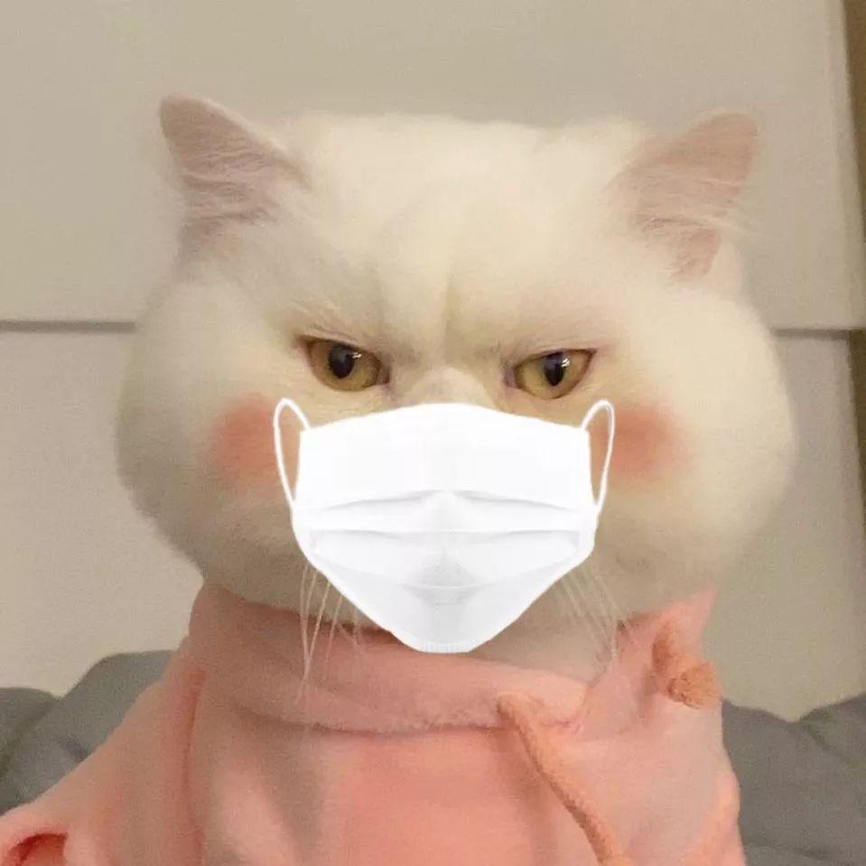 一波口罩头像武汉加油中国加油