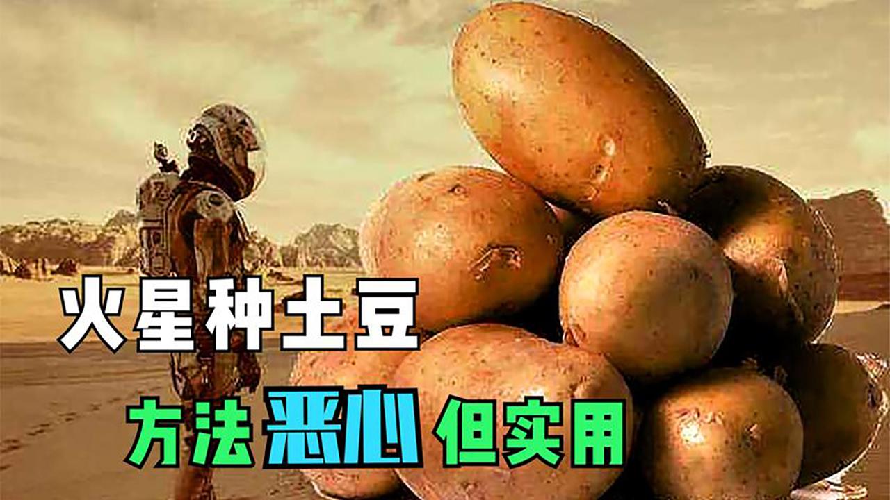 火星救援男子被困火星竟靠土豆活下来