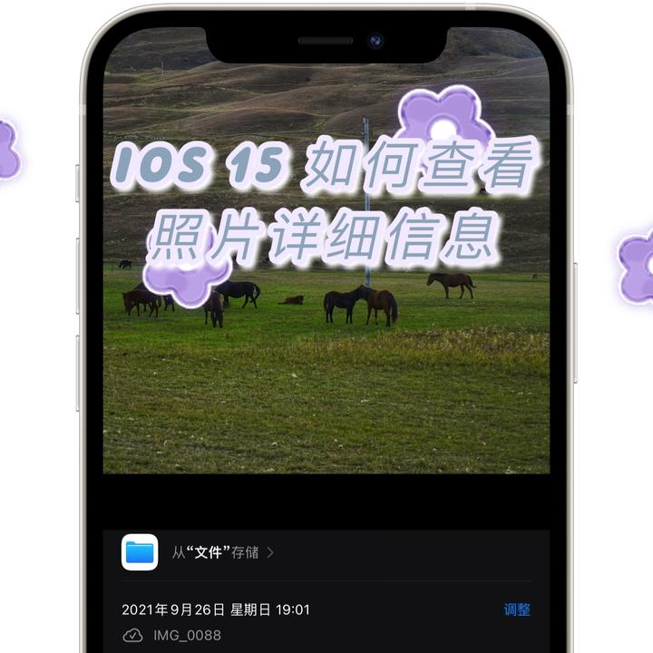 ios15如何查看照片详细信息