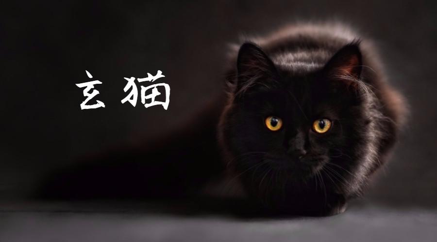 黑知识丨玄猫，辟邪之物；宜置于南，子孙皆宜 - 知乎