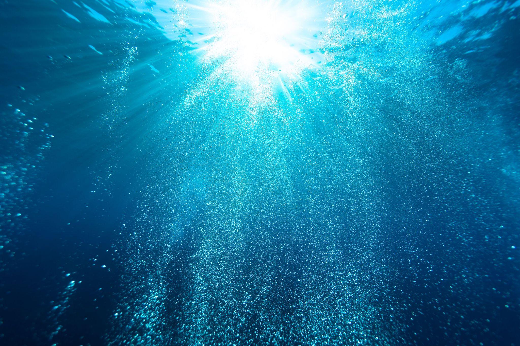 有没有好看的深海壁纸?