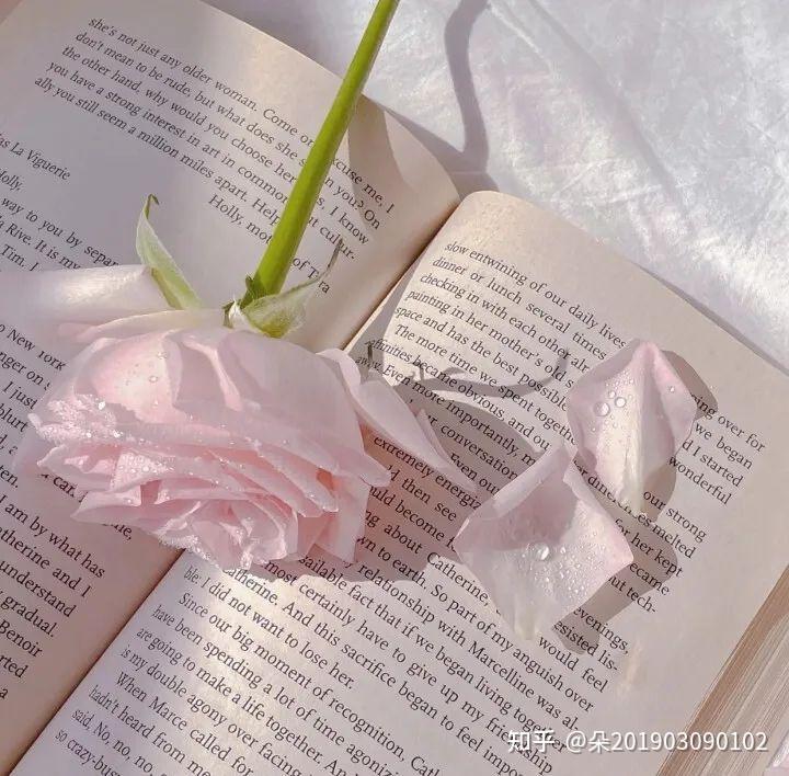 一个人过生日的朋友圈文案 v2-4c1efab4668878218b99f03a21d70e48_r.jpg