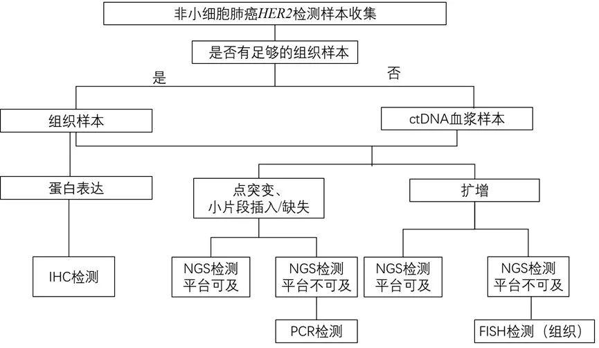 2023年最新发布！ 非小细胞肺癌HER2变异临床诊疗实践专家共识 - 知乎