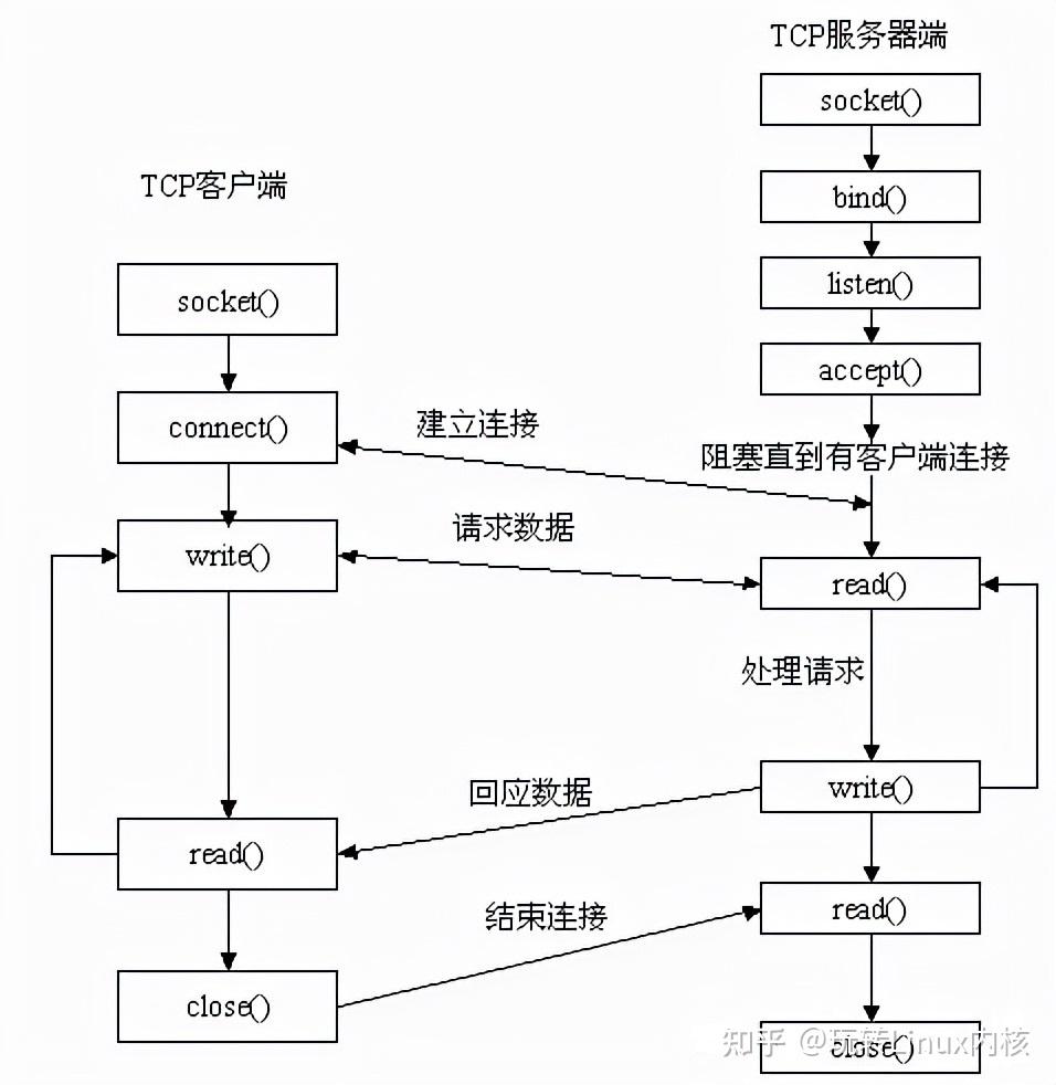 一文搞懂Linux的Socket编程原理(含实例解析) 知乎