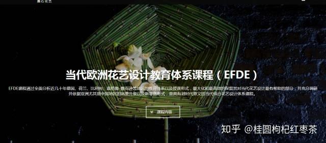 解读 《货邮飞行航班时刻配置政策德信体育