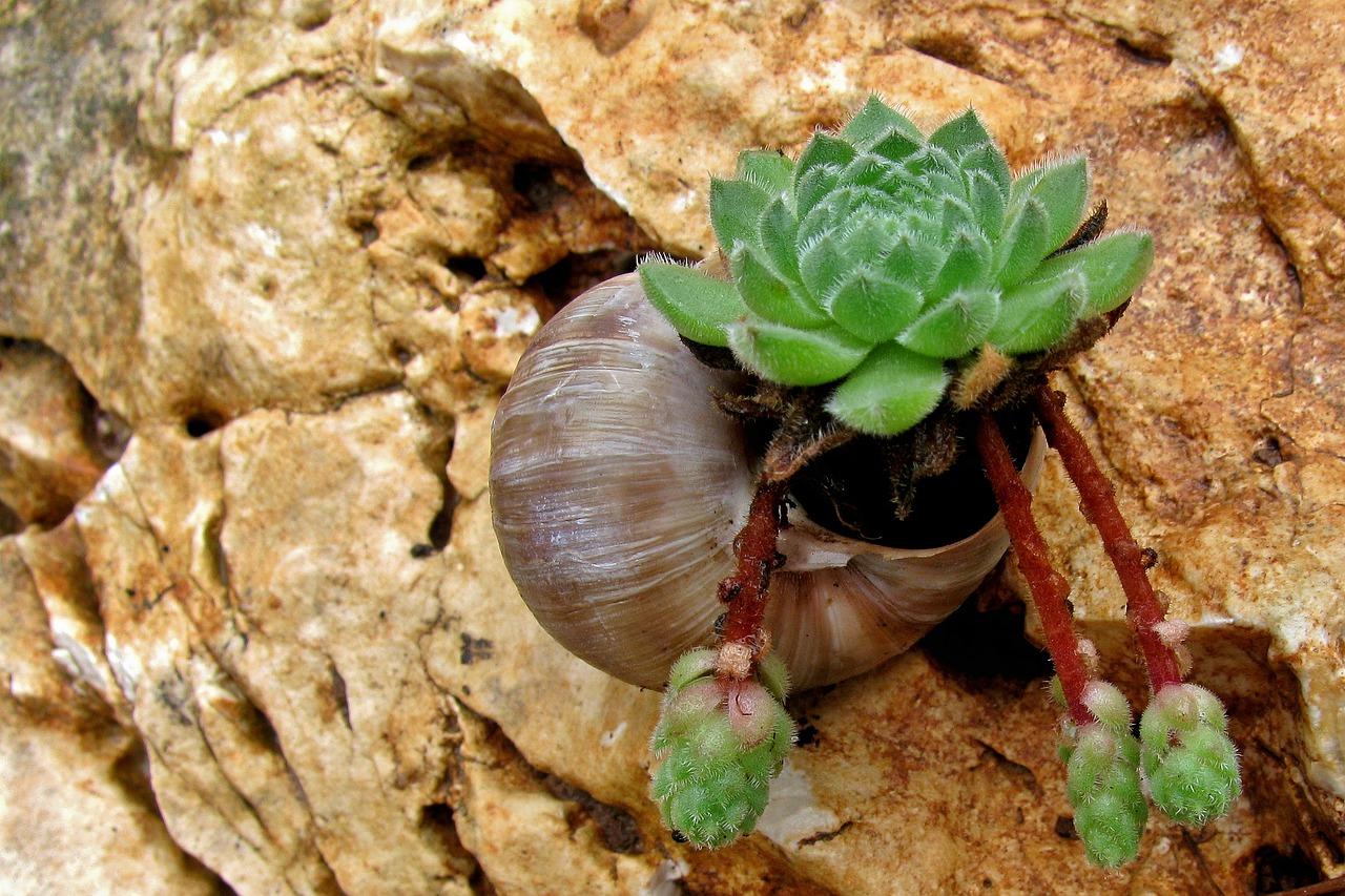 2. 锁具轮廓勾勒