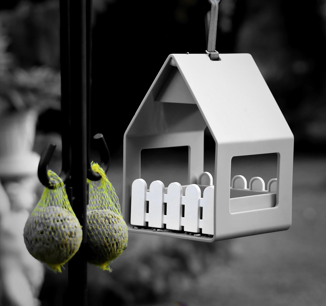 4. 定制营养方案