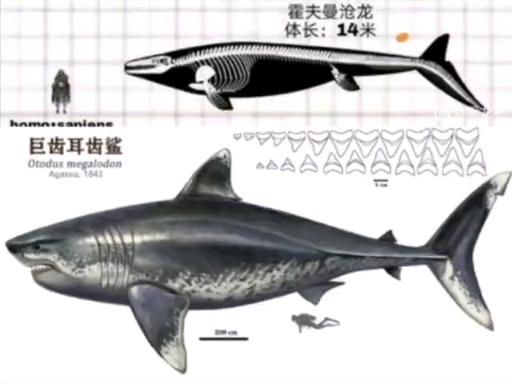 巨齿鲨vs沧龙怎么画图片