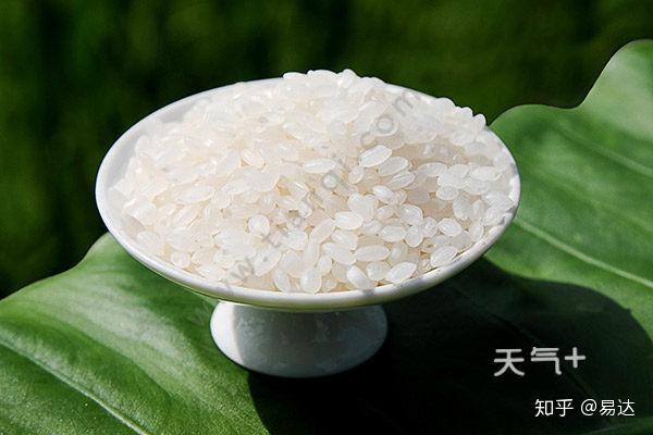 怎么挑选软糯的大米 v2-4c436eb8af26f6106e668f1c96ef8954_r.jpg