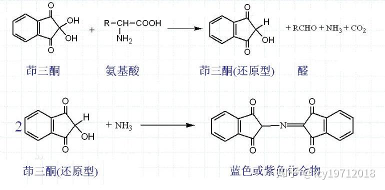 氨基酸的化学反应 - 知乎