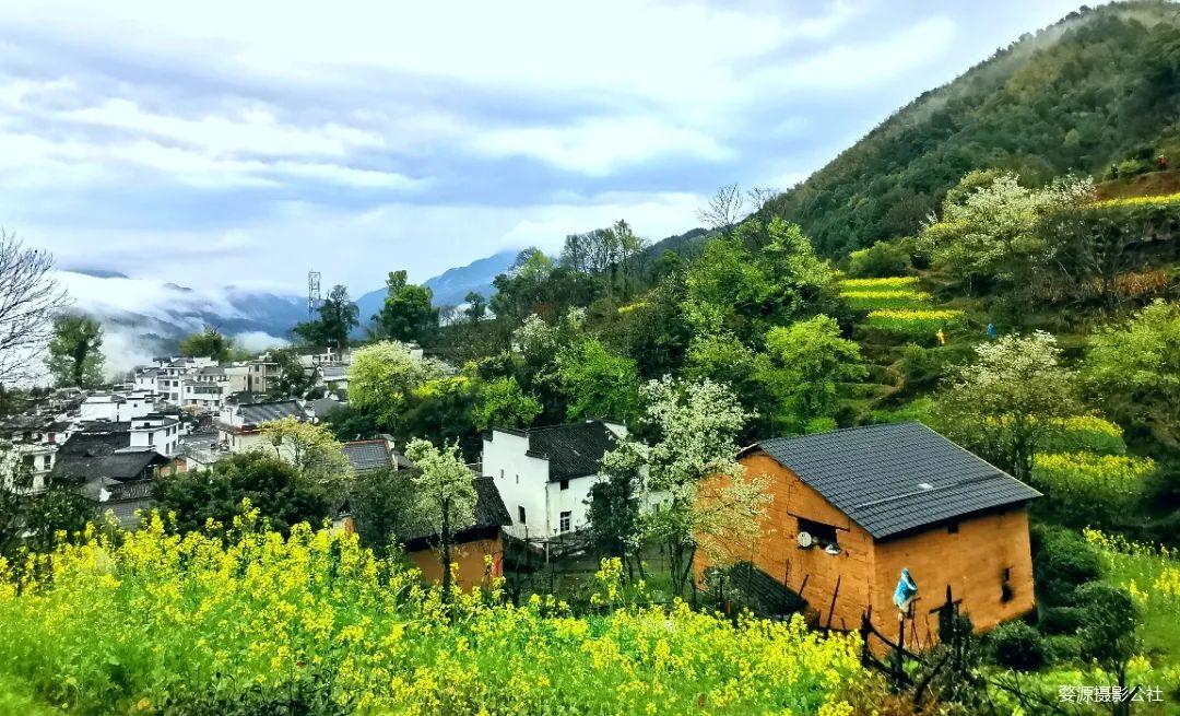 婺源篁岭石城歙县新安江山水画廊芜湖家朋响水涧油菜花摄影团