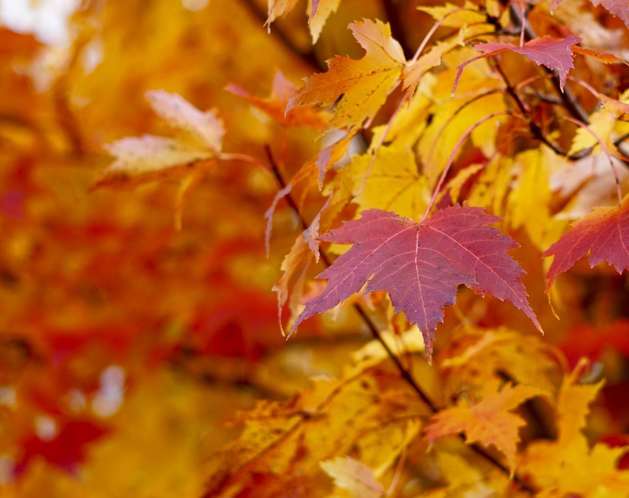 秋雨伴我成长记