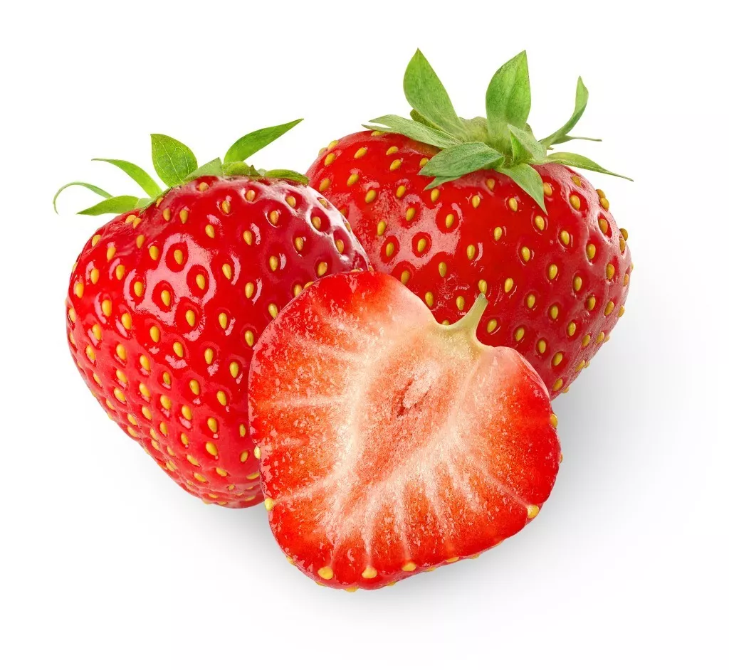 v2-4c551d76df7fdb7077658bb43d9c7da8_r.jpg