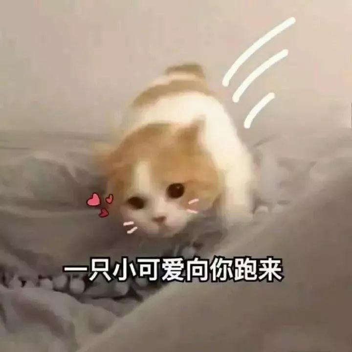 想我文案沙雕搞笑,想你了的文案