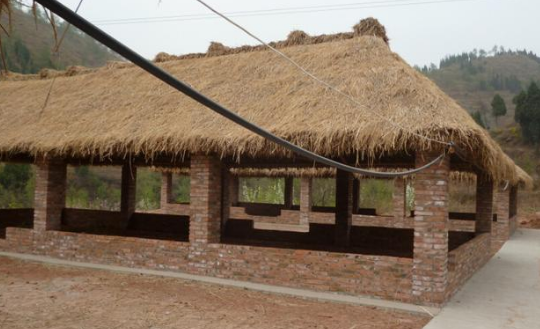 特色土鸡鸡舍吸引眼球才是王道