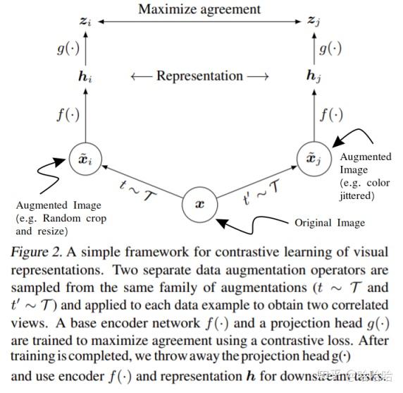 SimCLR Contrastive Loss 实现 - 知乎