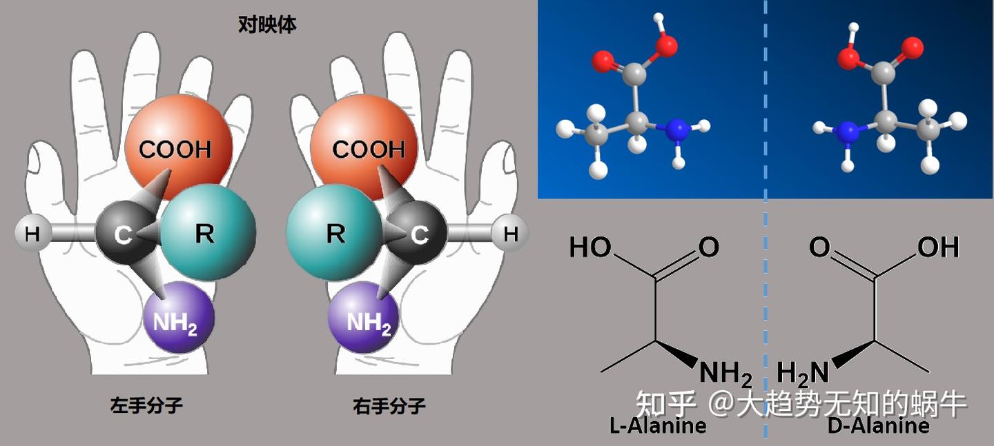 我们不知道答案的125个科学问题(57)生物分子手性之谜 - 知乎
