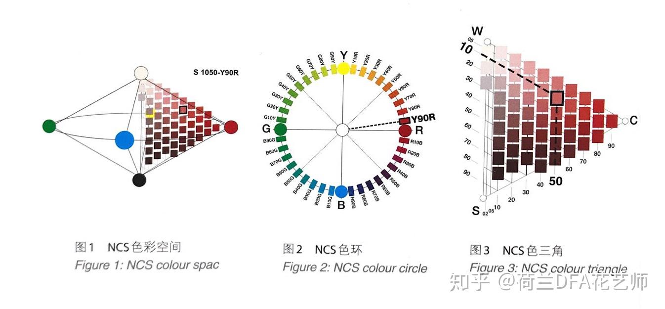 张恒浅谈自然配色系统ncs以花为本重构对色彩世界的全新认知