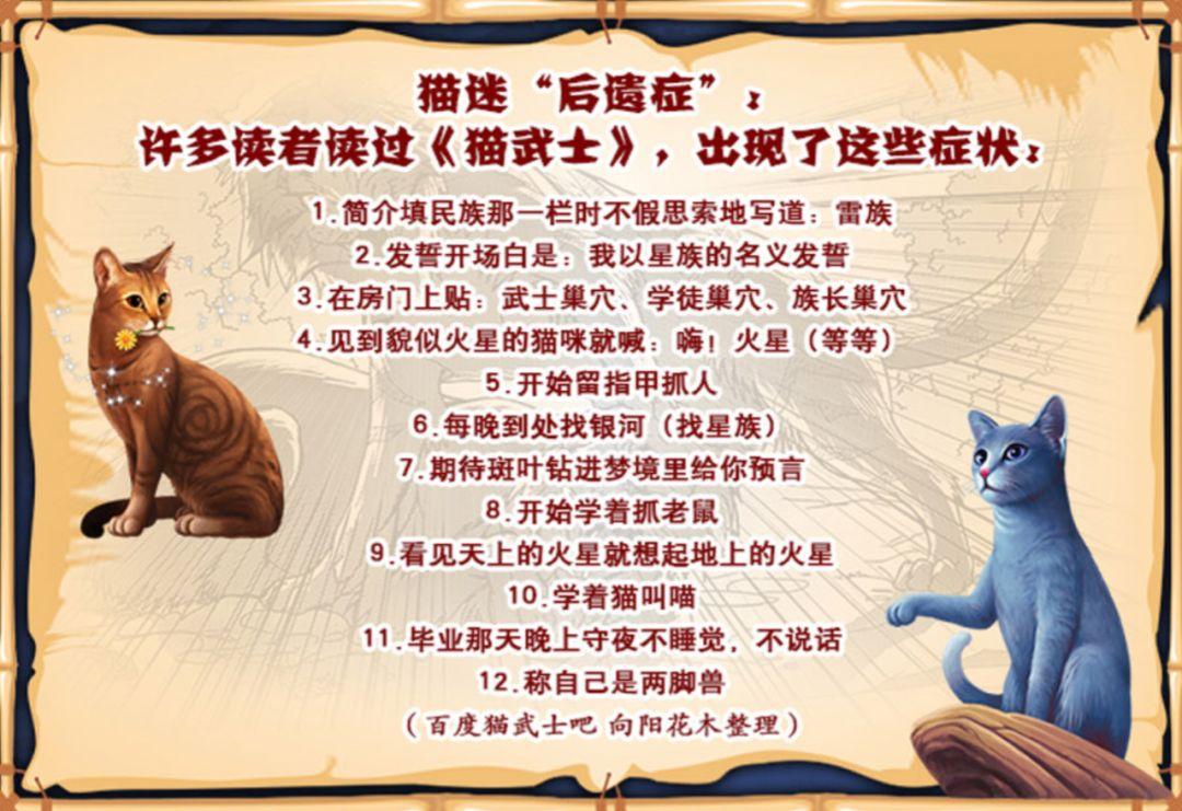 一部震撼心灵的成长圣经!《猫武士》1-8季英文书+音频! - 知乎