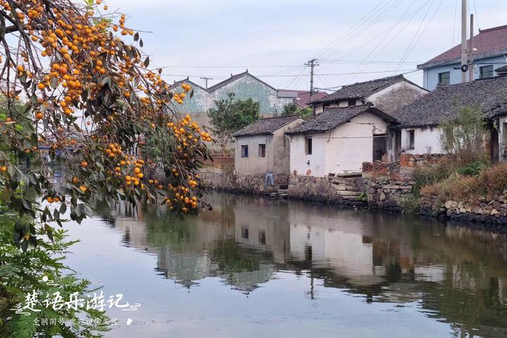 上虞五夫村图片