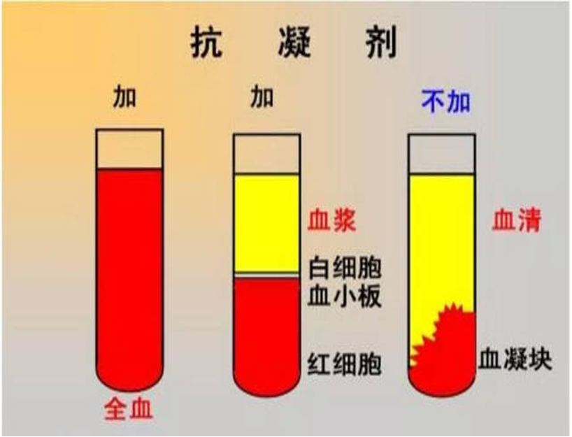 离心后的血液分层图片