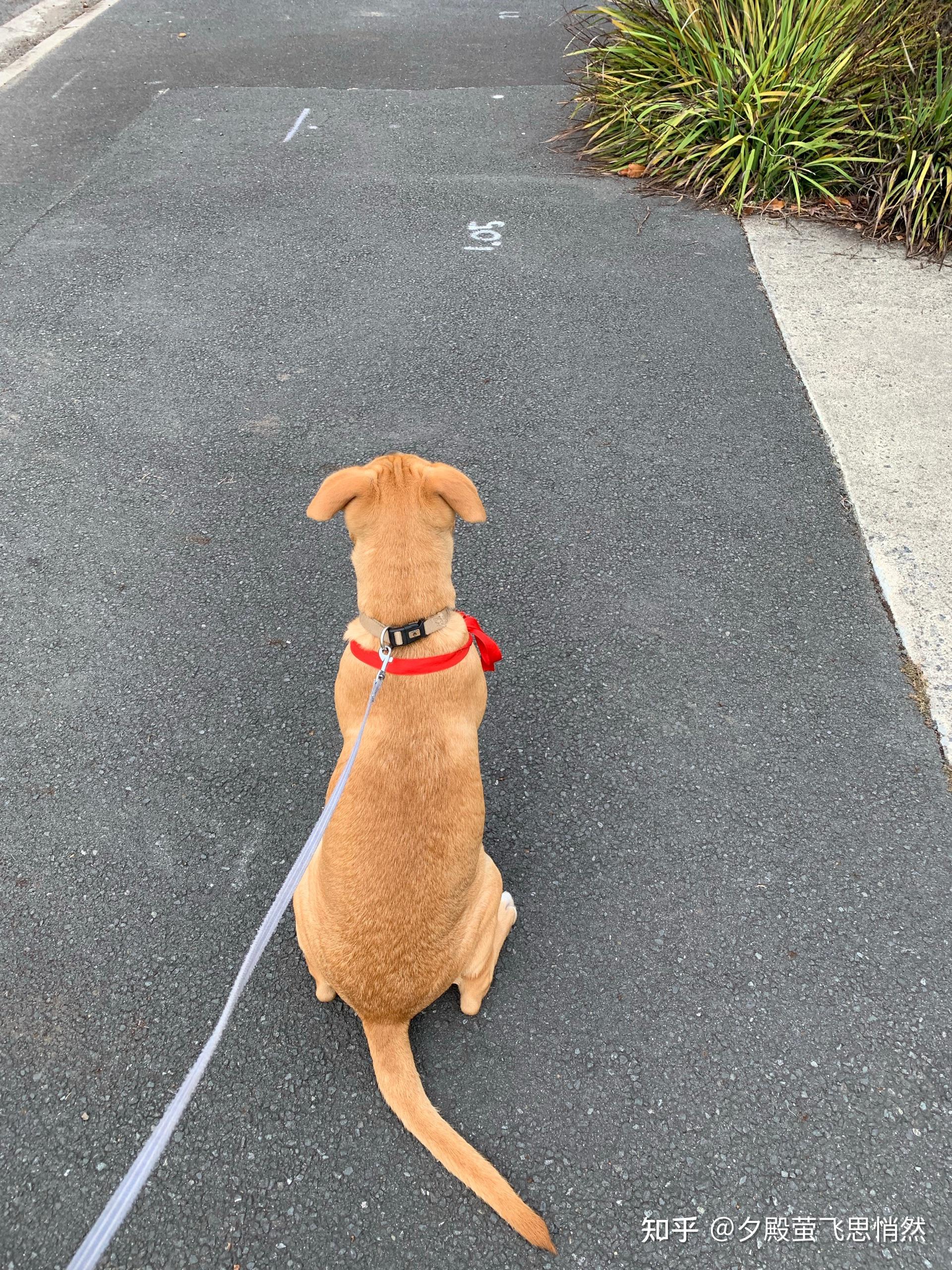 介绍一下mouse