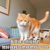 迎着太阳吹吹风