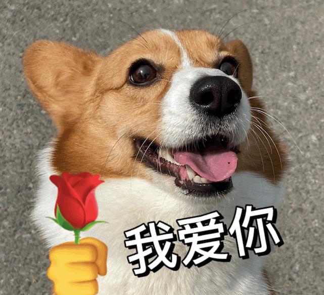 一组可爱的狗狗送花花表情包