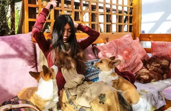 短租平台哪个最好