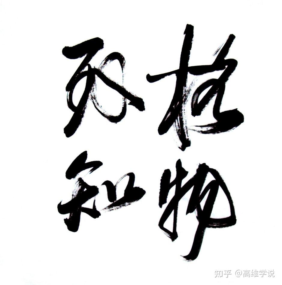 知乎
