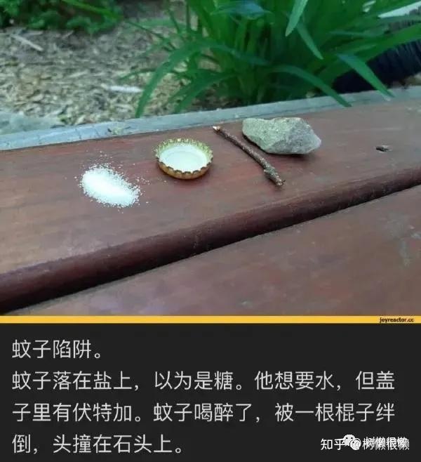 一看就是捕猎高手了—11为了那10来秒—10文字没有错,错的是时间—9鸡