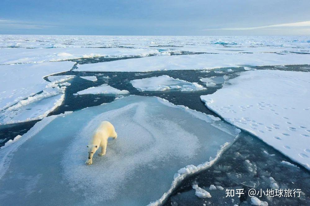 史上最强北极旅行攻略,手打1万字,想闭坑看这篇就够了! - 知乎
