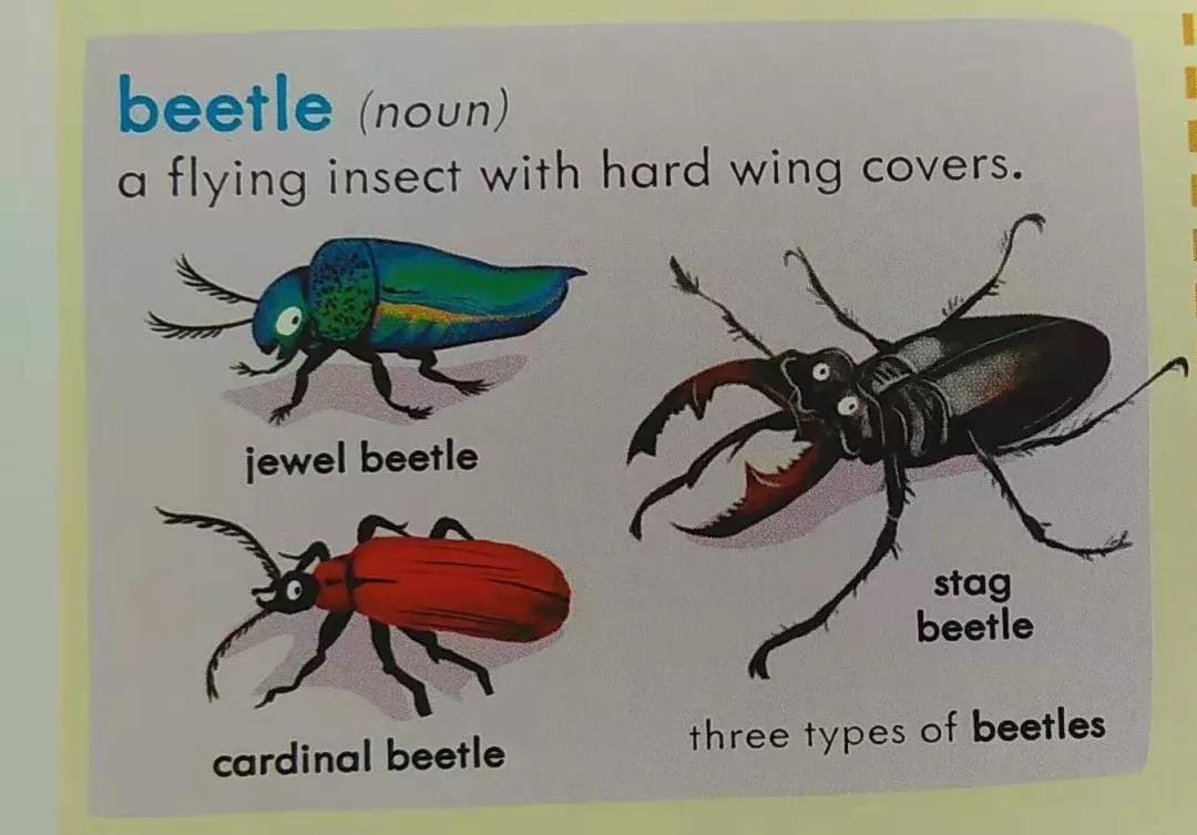 哪个英英字典最推荐