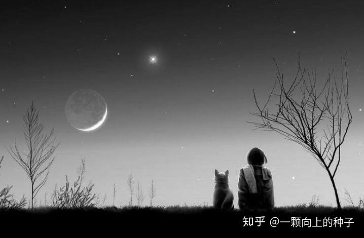 而我的内心却是:虚伪的生活累人累己.