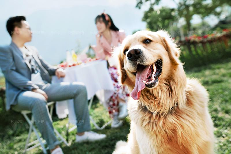 云南什么时候去旅游最好?