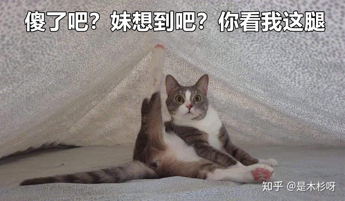 v2-4cb2ea61d2458e4a158da22a7627e1ac_r.jpg