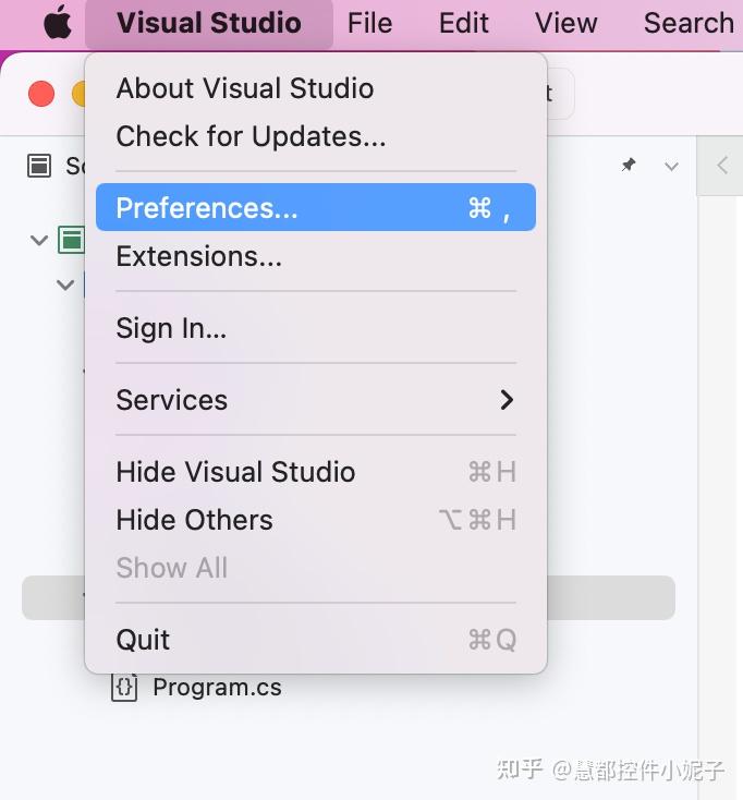 如何在 Visual Studio for Mac 中使用 .NET 8 上的 FastReport Avalonia - 知乎