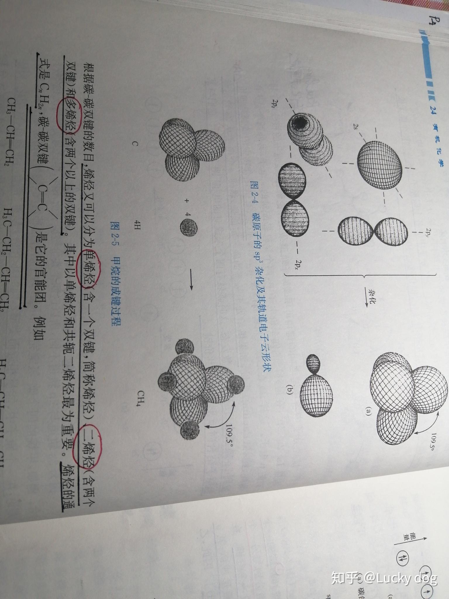 碳原子的轨道形状怎么画